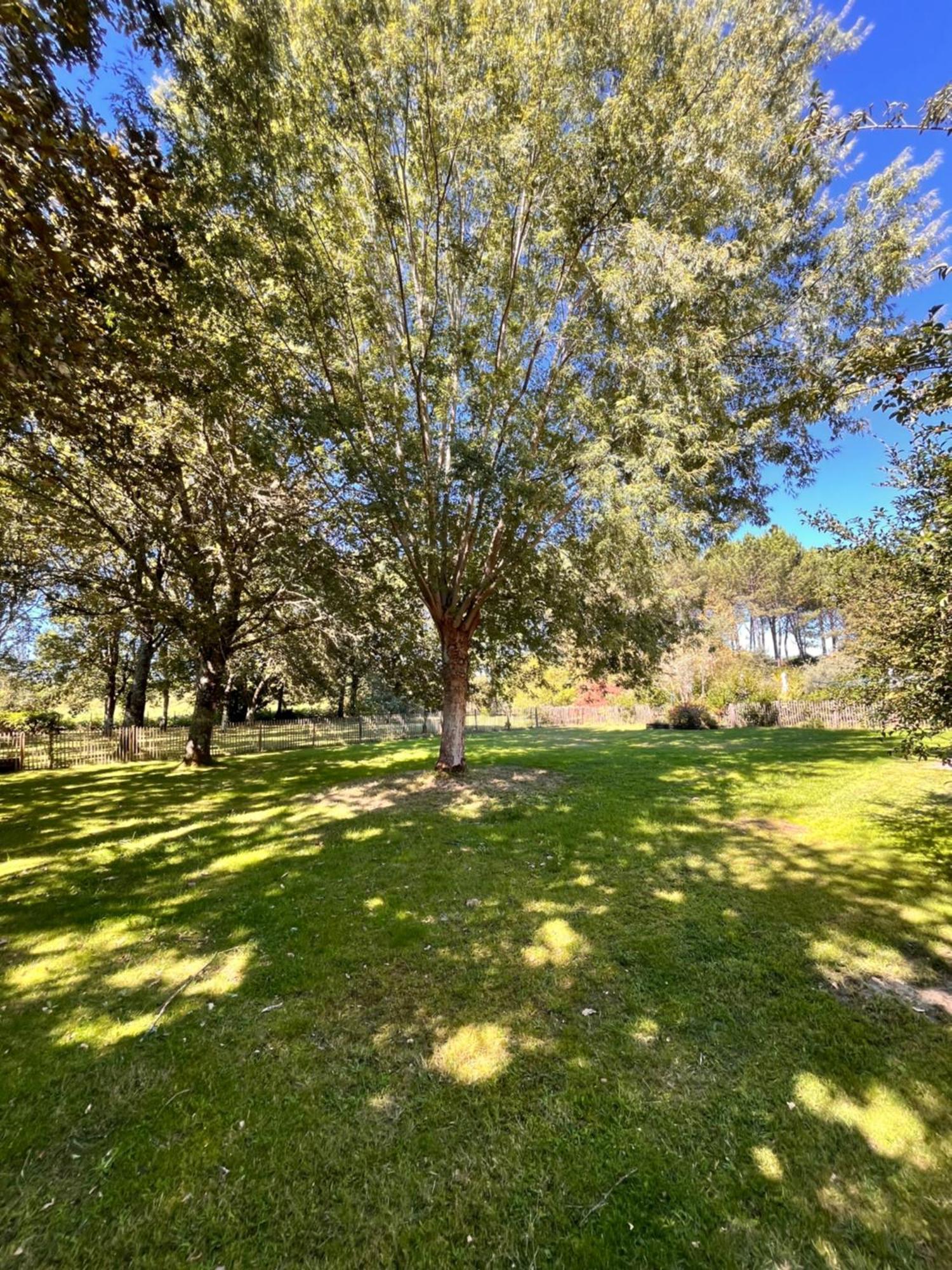 La Bergerie Des Landes Villa Ли-е-Микс Екстериор снимка